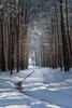 Foto vom Album: Wintereindrücke aus und um Ziesar