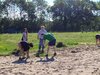 Foto vom Album: Arbeitseinsatz