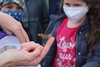 Foto vom Album: Schmetterlingsaufzucht der Klasse 1a