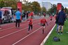 Foto vom Album: Schwedter Herbstlauf, 16.10.2022