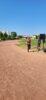 Foto vom Album: Schwedter Sportplatzlauf 11.06.2023