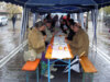 Foto vom Album: Aktionstag