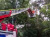 Feuerwehreinsatz: 2 Bäume drohen zu stürzen