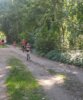 Foto vom Album: Templiner Lübbeseelauf 16.09.2023