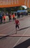 Foto vom Album: Schwedter Herbstlauf 08.10.2023