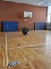 Foto vom Album: Weihnachtsfeier Kindersport 2023