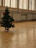 Foto vom Album: Weihnachtsfeier Kindersport 2023
