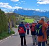 Foto vom Album: Wanderwoche Südtirol - Apfelblüte und Alpengipfel