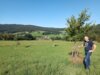 Foto vom Album: Nachhaltig leben: Ein Blick auf Viechtach und Umgebung