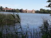 Blick über den Grienericksee zum Schloss