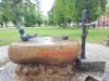 Foto vom Album: Wanderwoche Rheinsberger Land