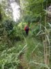 Foto vom Album: Wanderwoche Rheinsberger Land