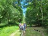 Foto vom Album: Wanderwoche Rheinsberger Land