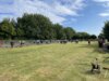 Foto vom Album: 2. Deutschland-Cup am 17.08.2024