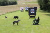 Foto vom Album: Sommerbiathlon der Schützenjugend 2024