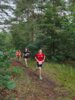 Foto vom Album: 1. Angermünder Wiesel Sommer Crosslauf