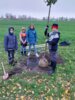 Apfelbaumpflanzaktion in Gro&szlig;derschau
