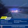 Foto vom Album: 