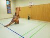 Fotoalbum