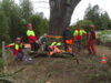 Fotoalbum