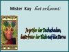 MisterKayHatErkannt-Dachschaden 
