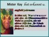MisterKayHatErkannt-Sponsoring01 