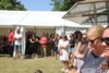 Foto vom Album: Stadtfest Freyenstein 2025