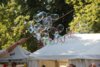 Foto vom Album: Stadtfest Freyenstein 2025