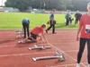 Foto vom Album: 5-Länder-Vergleich
