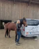 Dr. Regina Baum, Pferdetier&auml;rztin mit Schwerpunkt Zahnheilkunde, hat sich im vergangenen Jahr mit mobiler Praxis und Familie in Voggenzell bei Prackenbach angesiedelt.