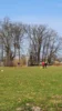 Foto vom Album: Arbeitseinsatz auf dem Sportplatz  07.03.02026