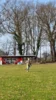 Foto vom Album: Arbeitseinsatz auf dem Sportplatz  07.03.02026