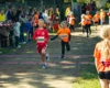 Foto vom Album: Brüssower Pokallauf 2026