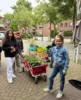 Foto vom Album: Pflanzaktion der Klasse 4a