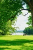 Elbeblick