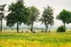 Foto vom Album: Wanderwoche Sächsischer Weinwanderweg