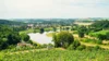 Foto vom Album: Wanderwoche Sächsischer Weinwanderweg