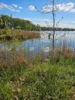 Foto vom Album: Ortsansichten Flecken Zechlin