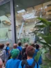 Foto vom Album: Schulausflug Holt in den Krefelder Zoo