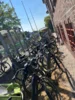 Foto vom Album: Schulfest in Holt zum Abschluss der Projektwoche