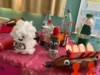 Foto vom Album: Schulfest in Holt zum Abschluss der Projektwoche