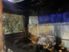 Foto vom Album: Brand Domes