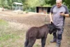Tierpfleger Erwin mit dem &quot;Kleinen&quot; am 8.09.2026