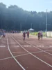 Foto vom Album: Fest der 1000 Zwerge 2026