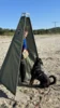 Foto vom Album: SD Kurs 2026