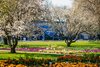 Erfurt erblüht - Bundesgartenschau 2021 in Thüringes Landeshauptstadt Erfurt erblüht - Bundesgartenschau 2021 in Thüringes Landeshauptstadt