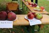 Foto zur Veranstaltung 2. Apfelfest der Gemeinde Michendorf