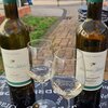 Veranstaltung: WINZERFEST in HÖHNSTEDT - Das größte Weinfest im Saalekreis 04.  -  07. Sep 2025