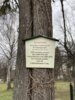 Veranstaltung: Oster-Andacht mit dem Posaunenchor (Ilsenburger Kreuzfriedhof) So 31.​03.​2024