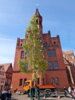 Foto: Rolandstadt Perleberg | Der durch Kinderbasteleien geschmückte Maibaum wird mit Unterstützung des Betriebshofes auf dem Marktplatz aufgestellt.